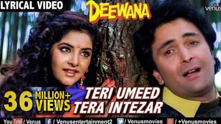 Read more about the article Teri Umeed Tera Intezar Lyrics – Deewana