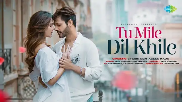 Read more about the article Tu Mile Dil Khile Lyrics – Stebin Ben Ft. Asees Kaur